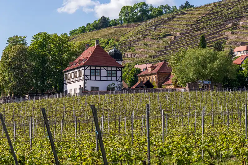 Hof Lößnitz