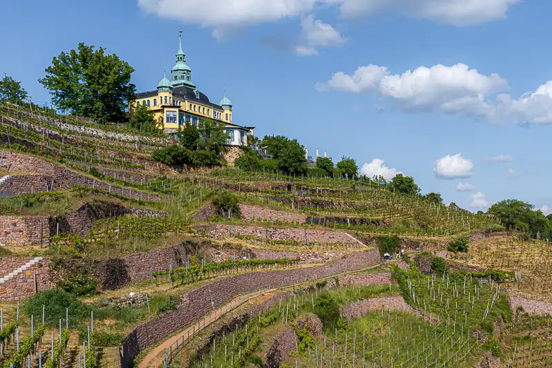 Spitzhaus mit Weinberge
